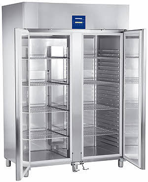 Image of Liebherr GGPv 1490 ProfiPremiumline Gefrierschrank Gastronorm bei nettoshop.ch