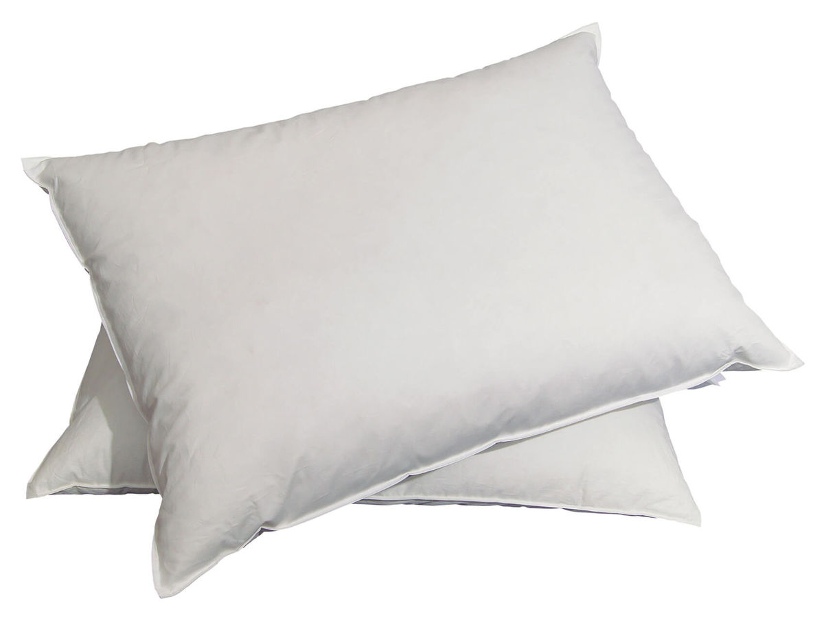 Image of Billerbeck Jack 65x65 Daunen Kissen bei nettoshop.ch