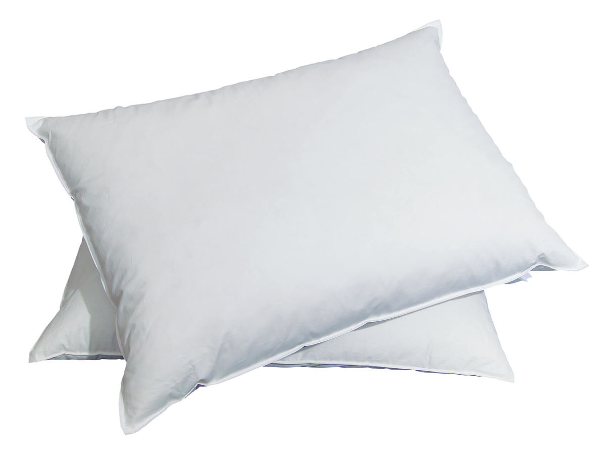 Image of Billerbeck Jack 60x60 Kissen bei nettoshop.ch