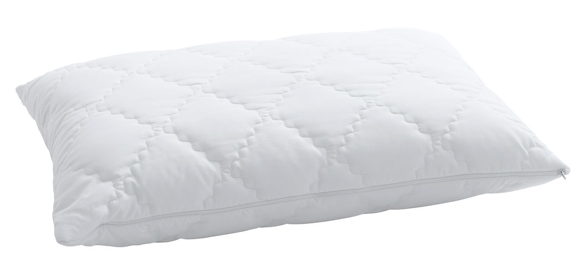 Image of Billerbeck Vitasoft 50x70 Kissen bei nettoshop.ch