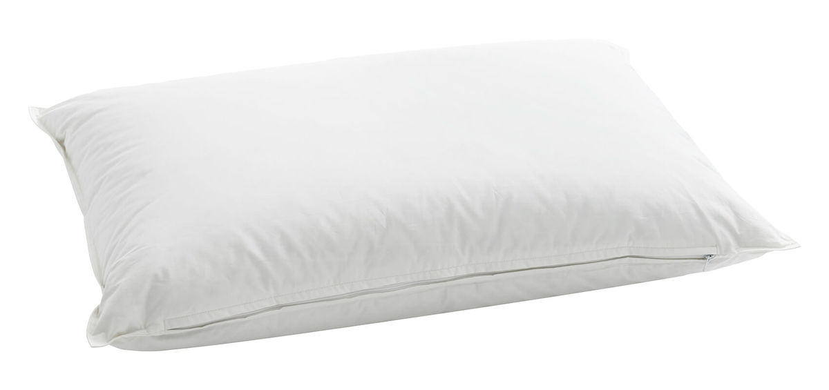 Image of Billerbeck Vitacasa 50x70 Kissen bei nettoshop.ch