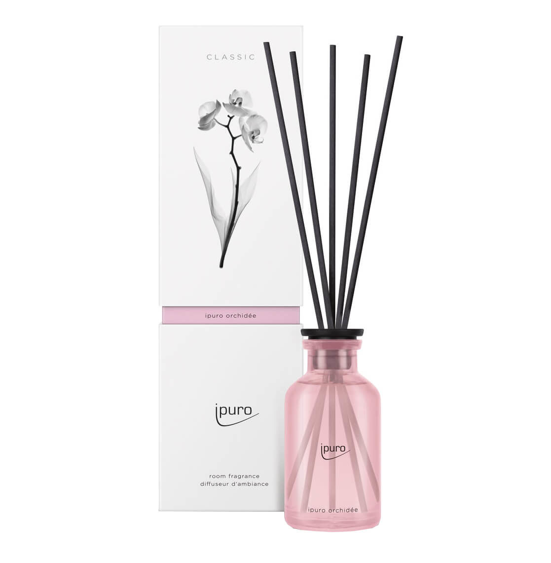 Image of ipuro Classic orchidée Raumduft 240ml bei nettoshop.ch