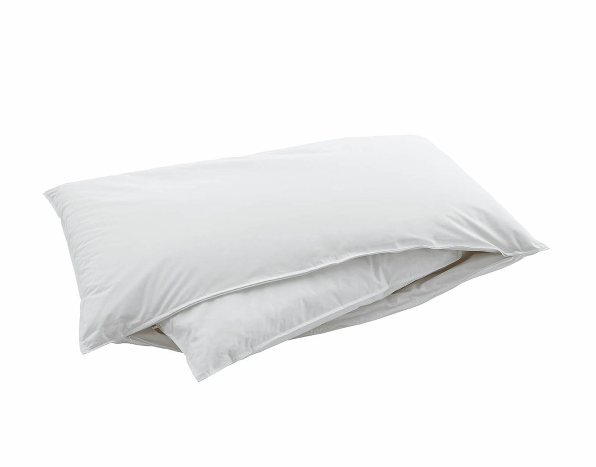 Image of Swiss Dream CLC 90 Nature Kissen 65 x 100 cm bei nettoshop.ch