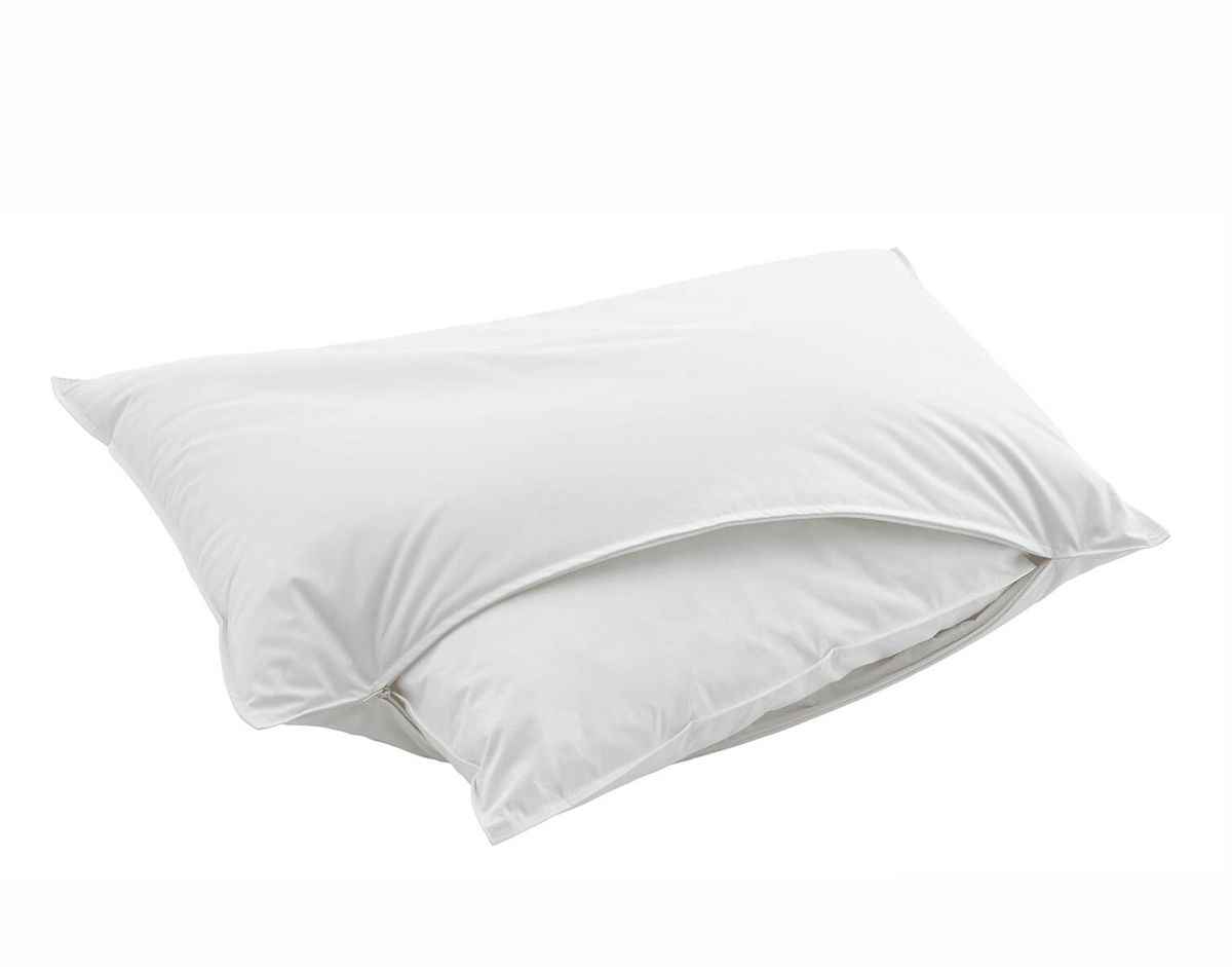 Image of Swiss Dream CLC 90 Fibre Kissen 50 x 70 cm bei nettoshop.ch