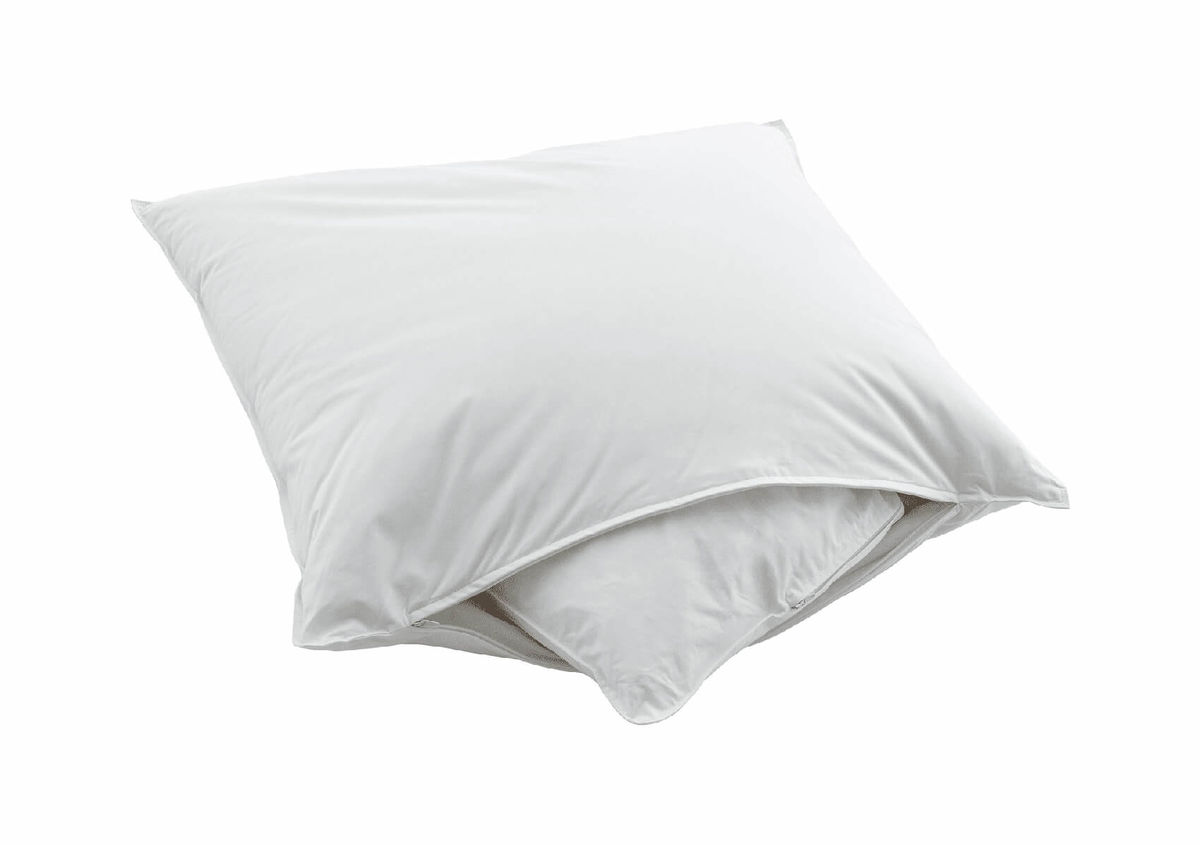 Image of Swiss Dream CLC 90 Fibre Kissen 65 x 65 cm bei nettoshop.ch