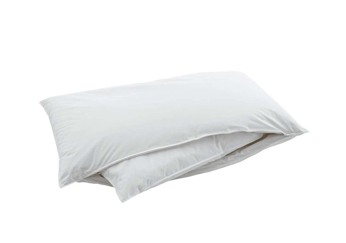 Image of Swiss Dream CLC 90 Fibre Kissen 65 x 100 cm bei nettoshop.ch