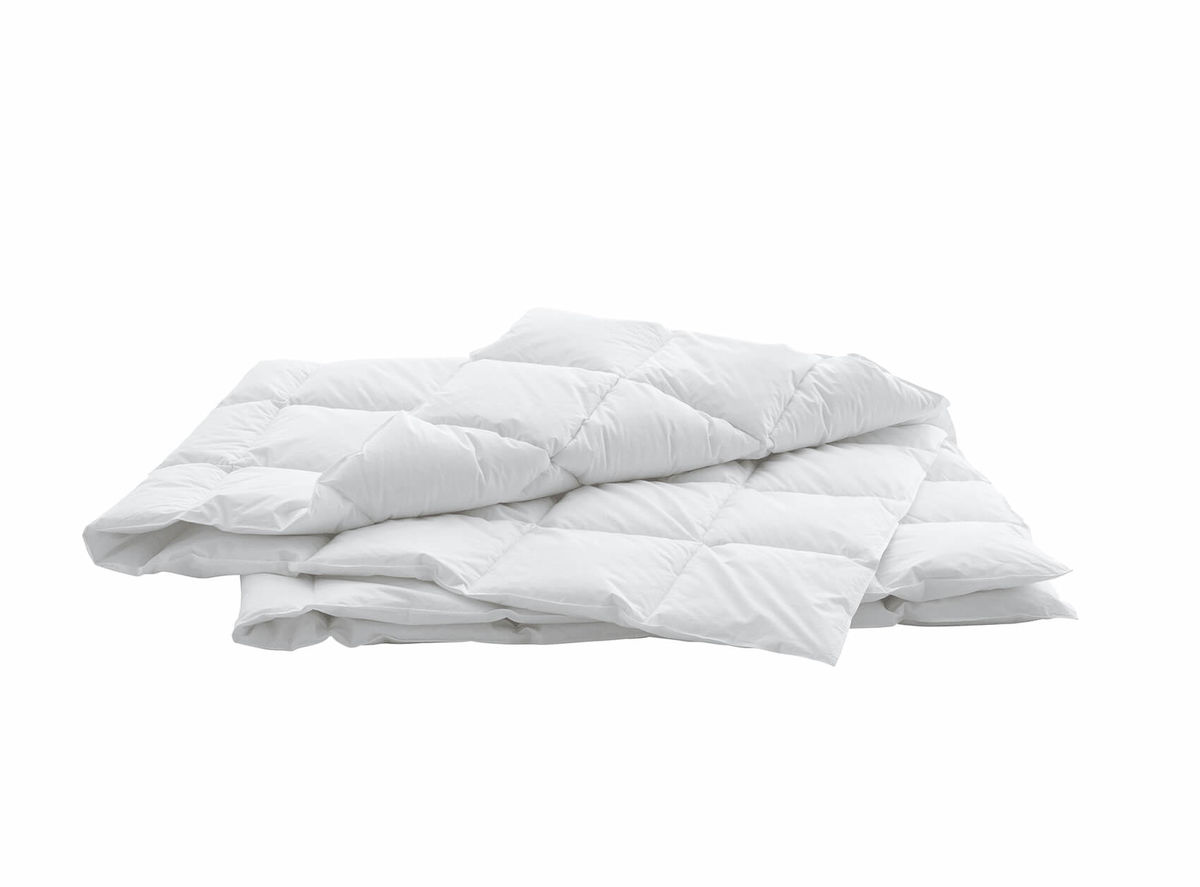 Image of Swiss Dream BSC 80 Caro Light Duvet 160 x 210 cm bei nettoshop.ch