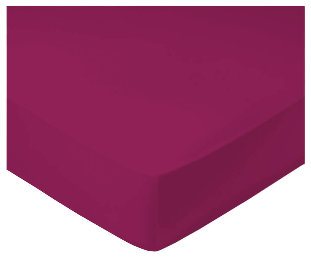 Image of Billerbeck Home Textiles Fixleintuch 90-100 x 200-220 cm anemone bei nettoshop.ch