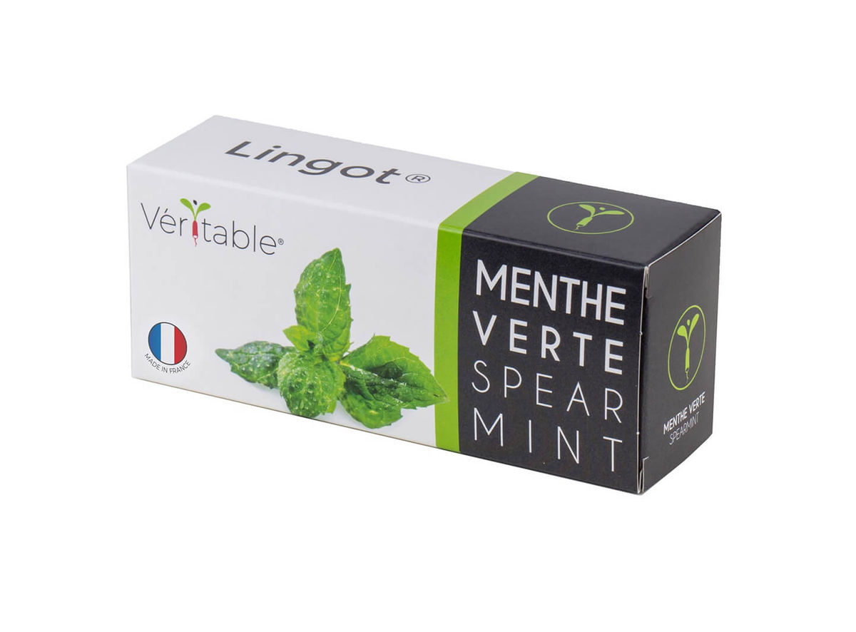 Image of Véritable Lingot® Minze bei nettoshop.ch