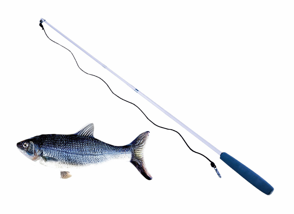 Image of Mediashop Flippity Fish Spiel bei nettoshop.ch