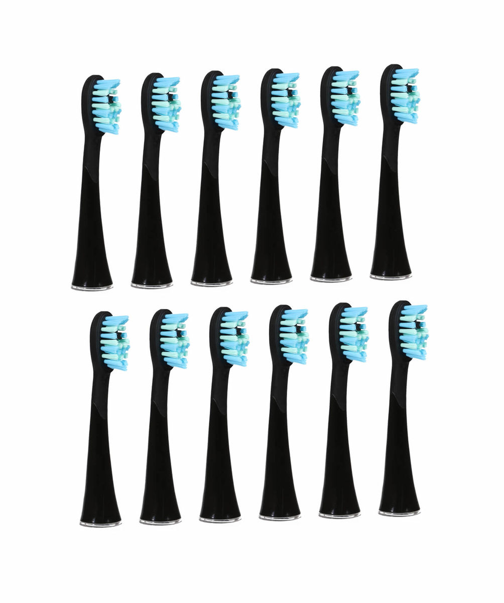 Image of Ailoria SHINE BRIGHT Extra Clean Ersatzbürstenkopf 12x bei nettoshop.ch