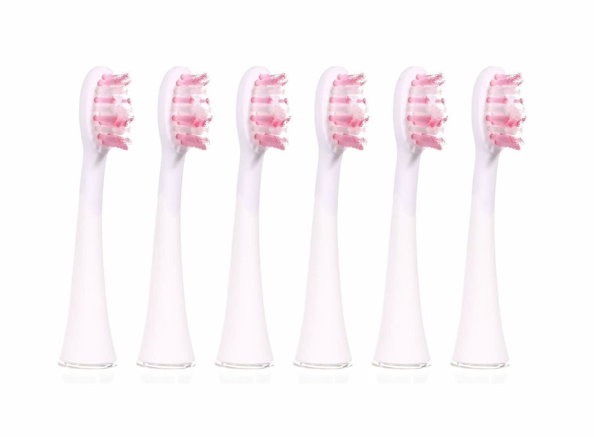 Image of Ailoria SHINE BRIGHT Extra Clean Ersatzbürstenkopf 6x weiss bei nettoshop.ch