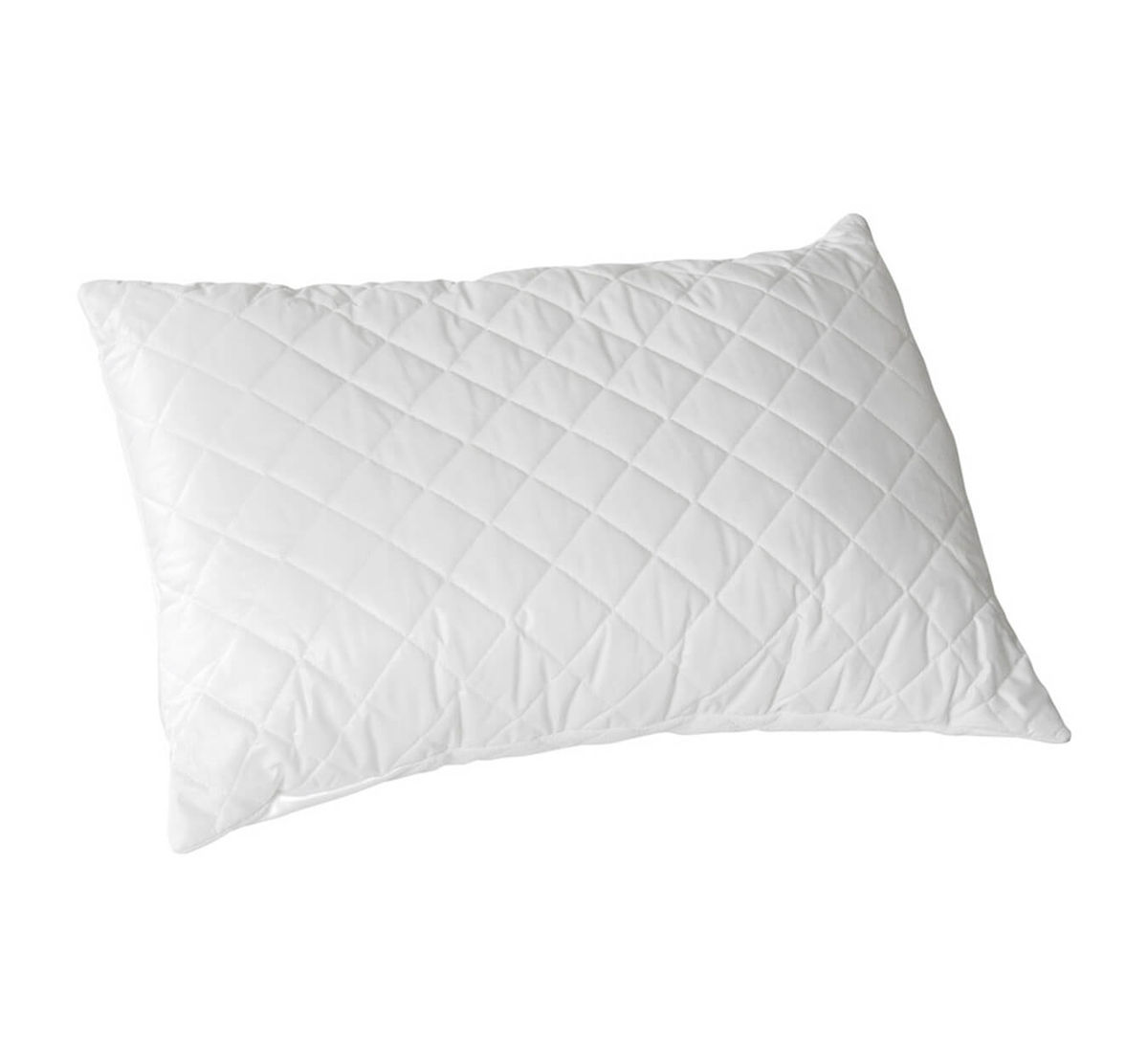 Image of Billerbeck Edition Hayo 65x65cm Kissen bei nettoshop.ch