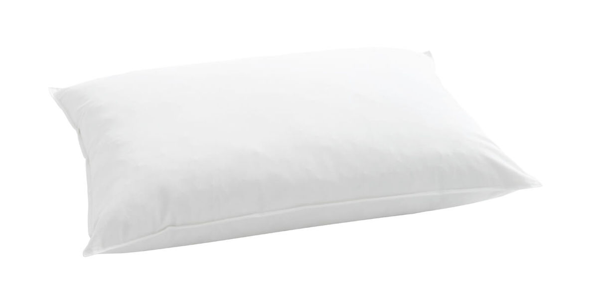 Image of Billerbeck Jerry 50x70cm Kissen bei nettoshop.ch