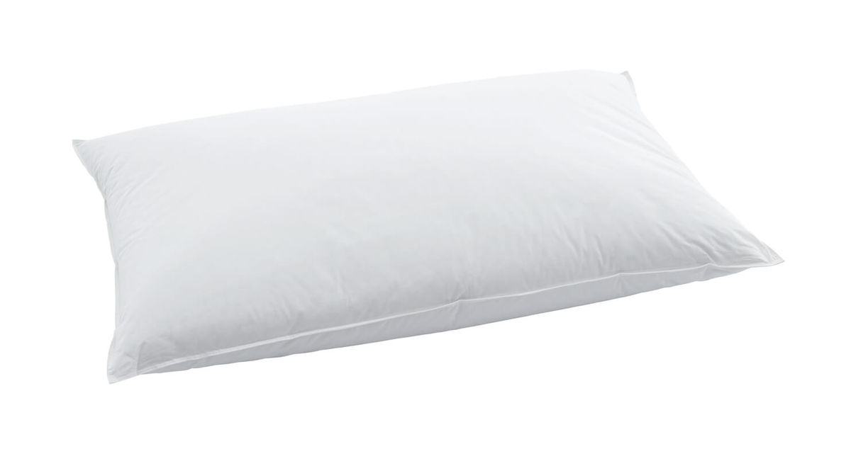 Image of Billerbeck Jerry 65x100cm Kissen bei nettoshop.ch