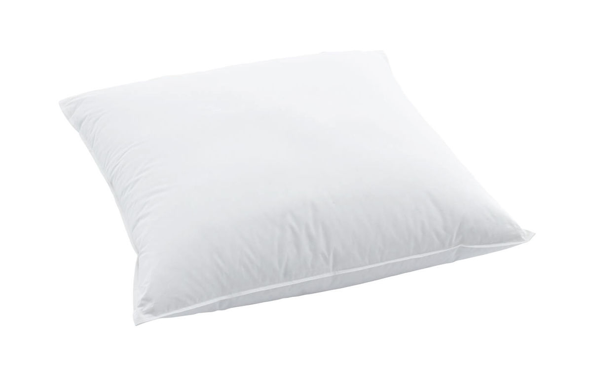 Image of Billerbeck Jerry 60x60cm Kissen bei nettoshop.ch