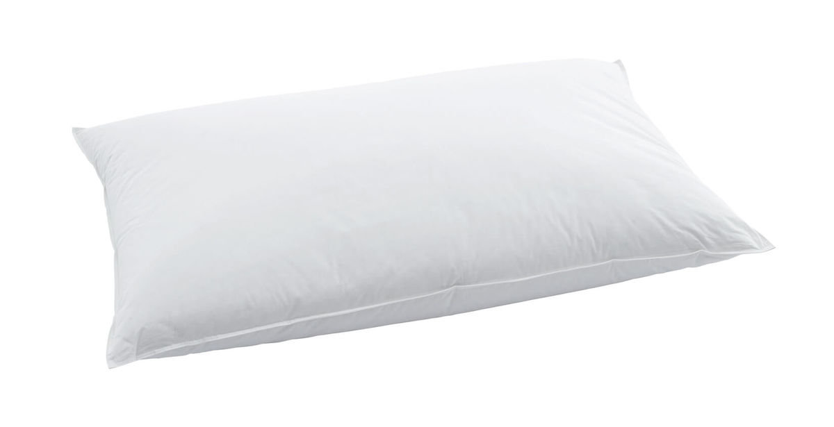 Image of Billerbeck Jerry 60x90cm Kissen bei nettoshop.ch