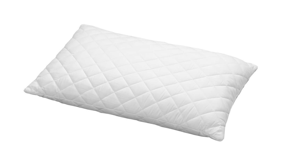 Image of Billerbeck Leni 60x90cm Kissen bei nettoshop.ch