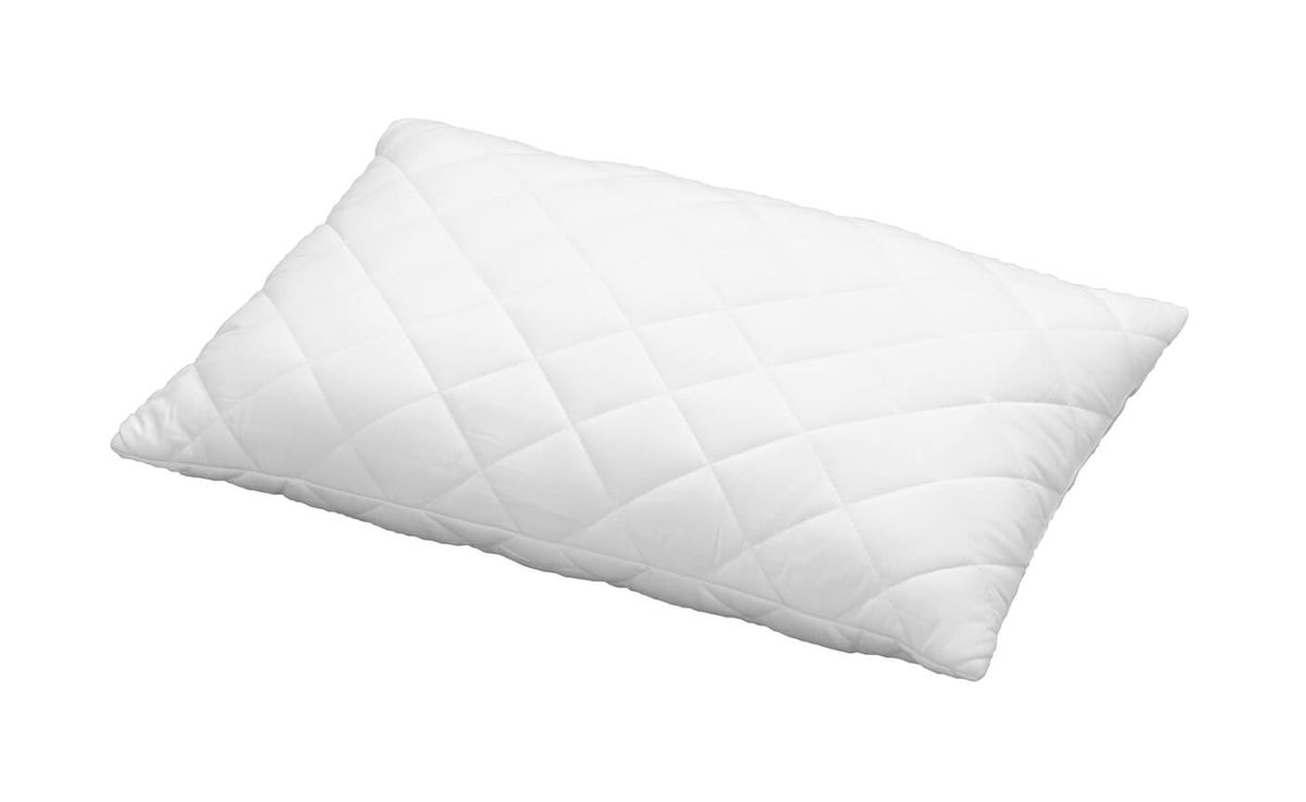 Image of Billerbeck Leni 50x90cm Kissen bei nettoshop.ch