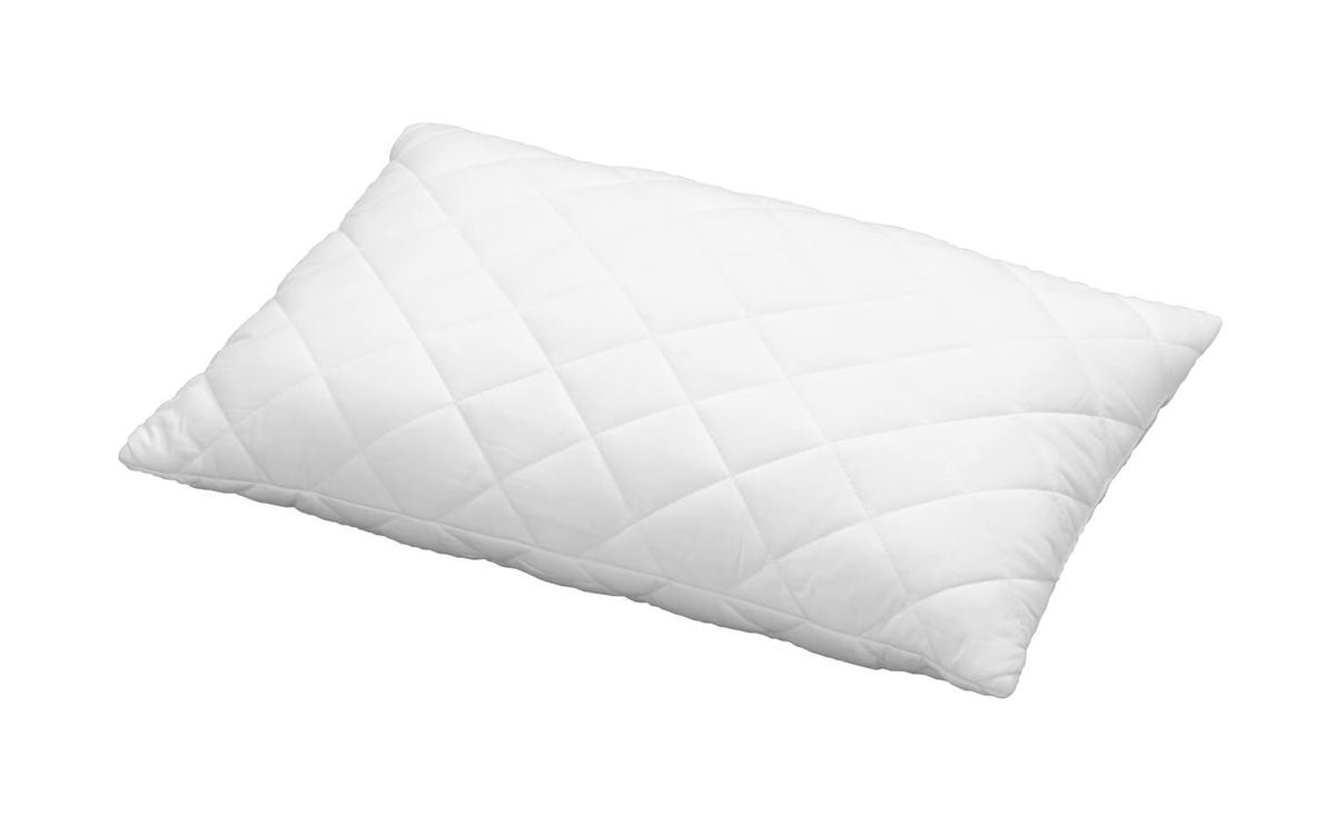 Image of Billerbeck Leni 60x60cm Kissen bei nettoshop.ch