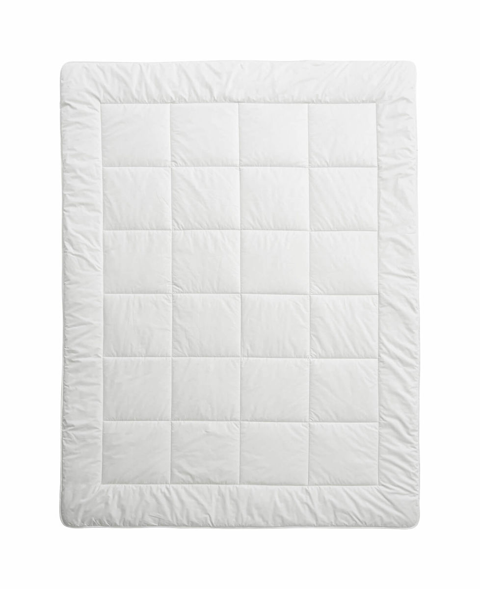 Image of Billerbeck Sedrik Uno 160x210 Duvet bei nettoshop.ch