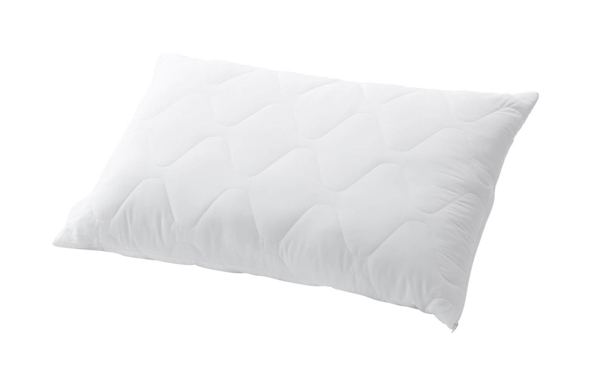 Image of Billerbeck Edition Danny 50x70cm Kissen bei nettoshop.ch