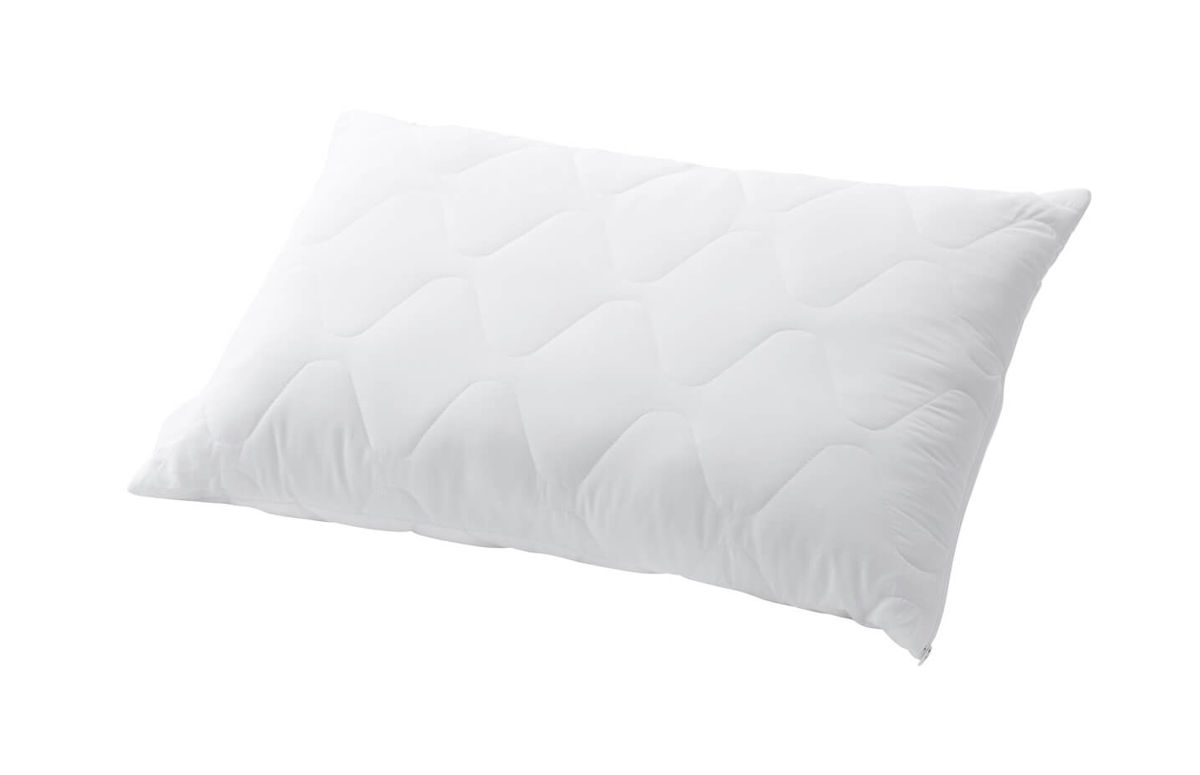 Image of Billerbeck Edition Danny 50x90cm Kissen bei nettoshop.ch