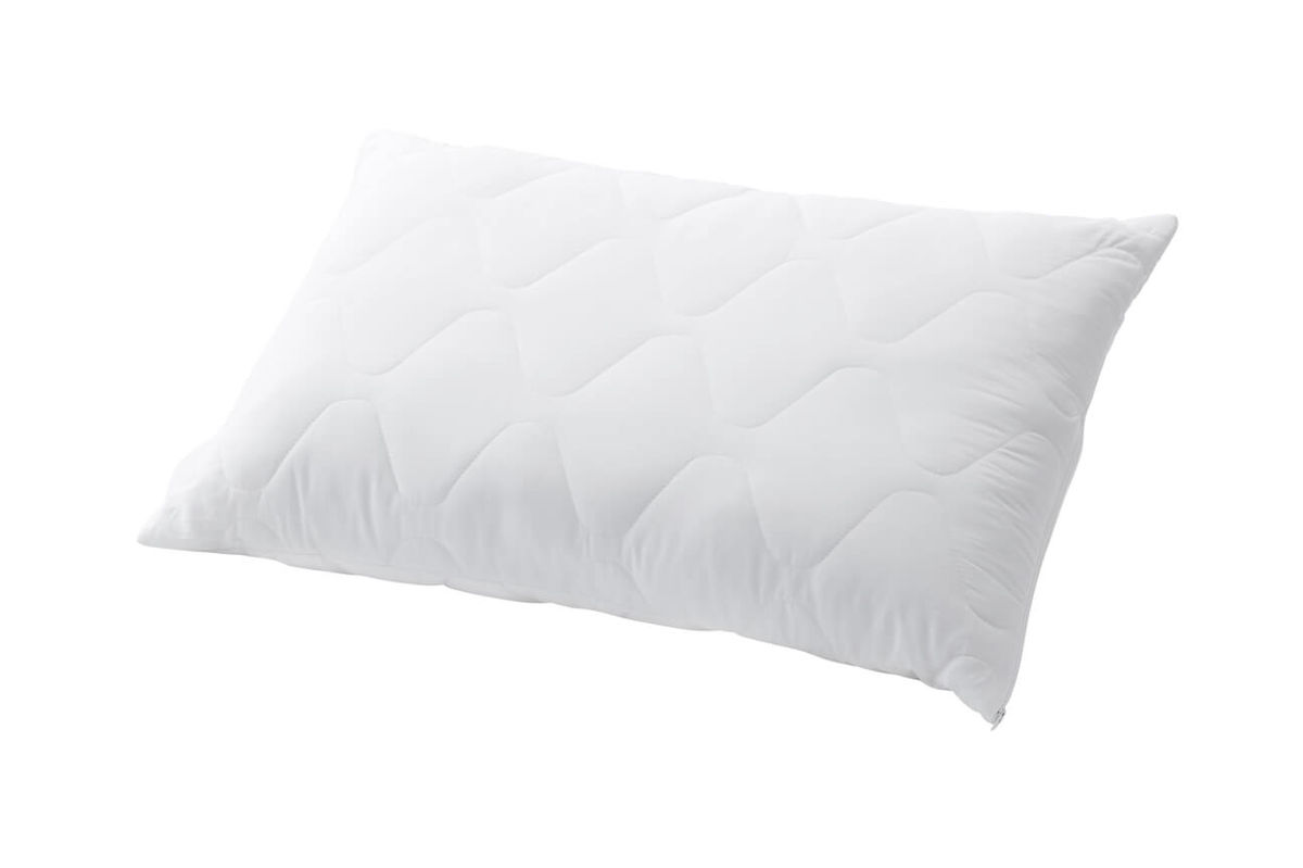 Image of Billerbeck Edition Danny 60x60cm Kissen bei nettoshop.ch