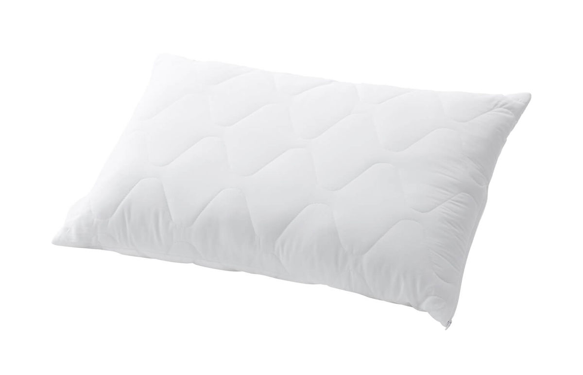 Image of Billerbeck Edition Danny 60x90cm Kissen bei nettoshop.ch