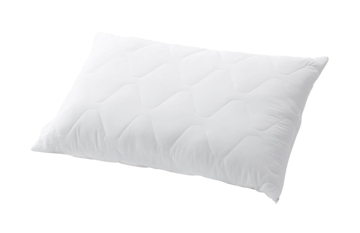 Image of Billerbeck Edition Danny 65x65cm Kissen bei nettoshop.ch