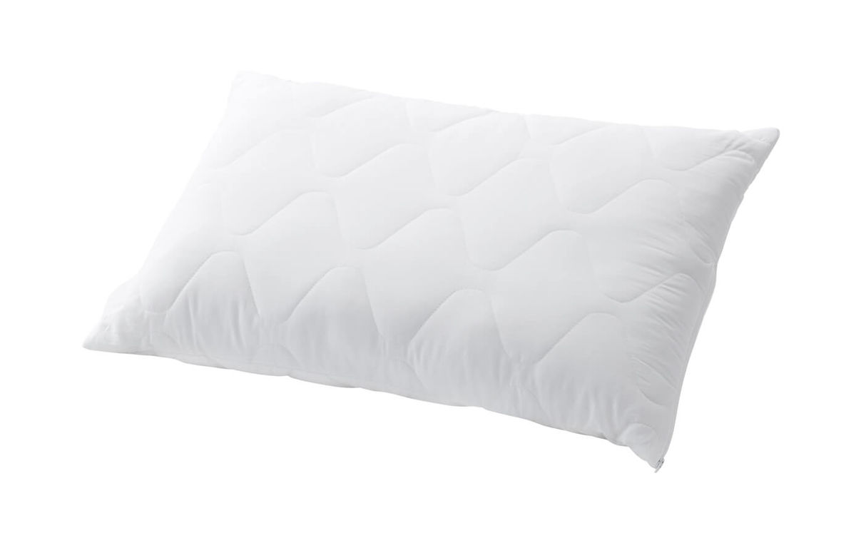 Image of Billerbeck Edition Danny 65x100cm Kissen bei nettoshop.ch