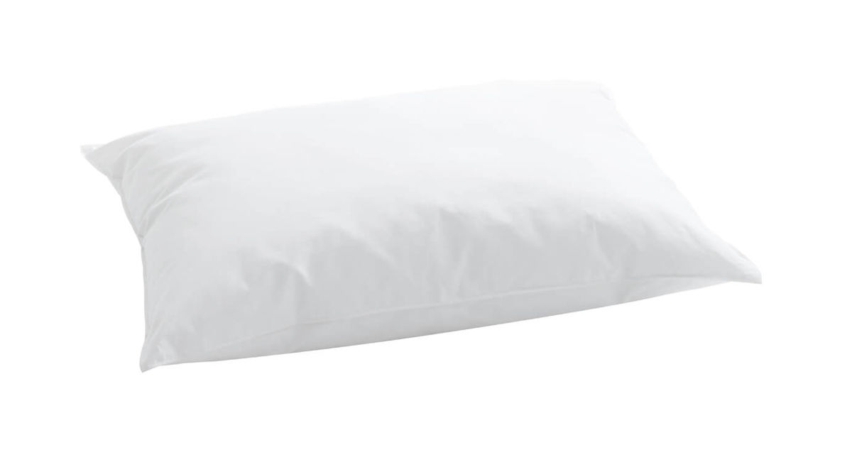 Image of Billerbeck Malou 50x70cm Kissen bei nettoshop.ch