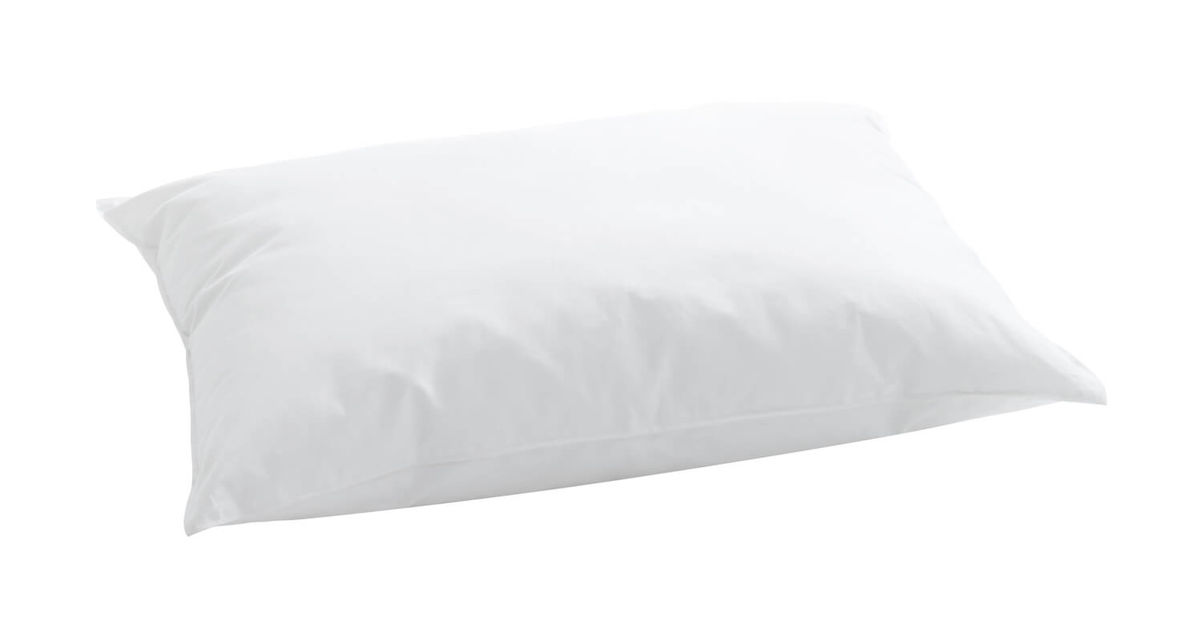 Image of Billerbeck Jeremy 65x100 Kissen bei nettoshop.ch