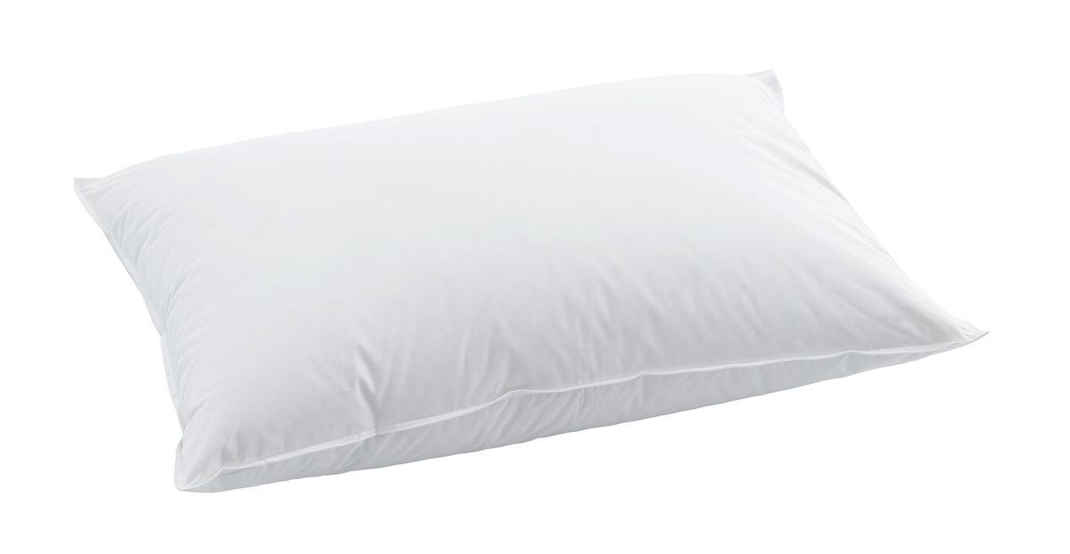 Image of Billerbeck BSC 30 Pillow 1-Kammerkissen 60x60 cm bei nettoshop.ch