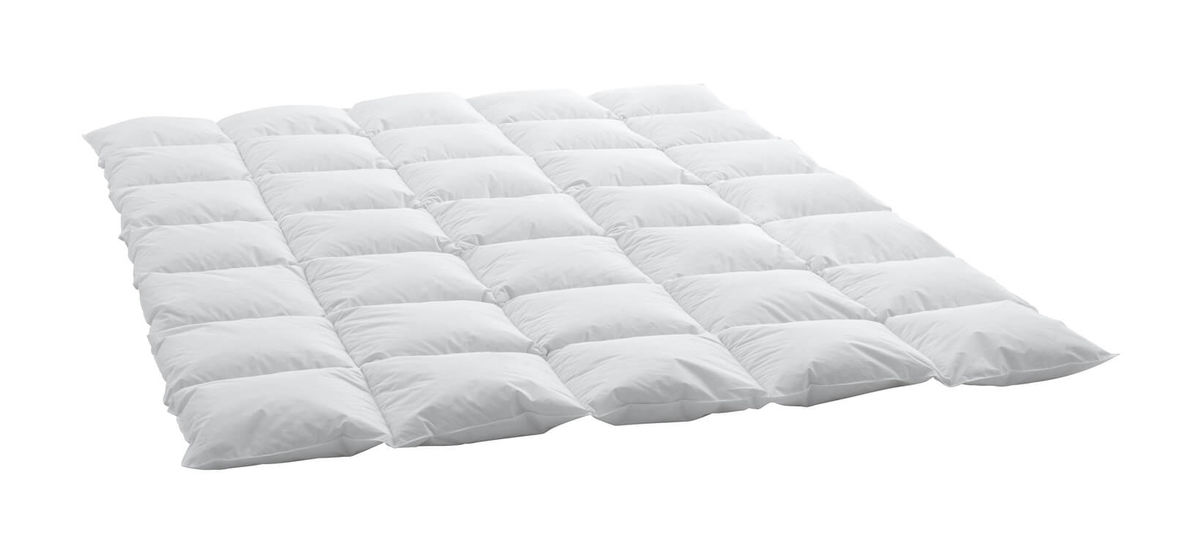 Image of Billerbeck BSC 80 Cassette Cosy Kassetten-Daunenduvet 200x210 cm bei nettoshop.ch