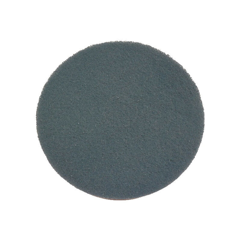 Image of Nilfisk Eco Brilliance Pad 2er Ø508mm blau Zubehör bei nettoshop.ch