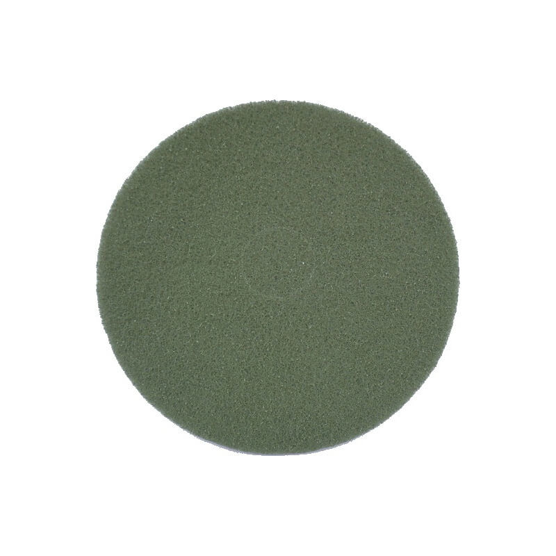 Image of Nilfisk Eco Brilliance Pad 2er Ø431mm grün Zubehör bei nettoshop.ch